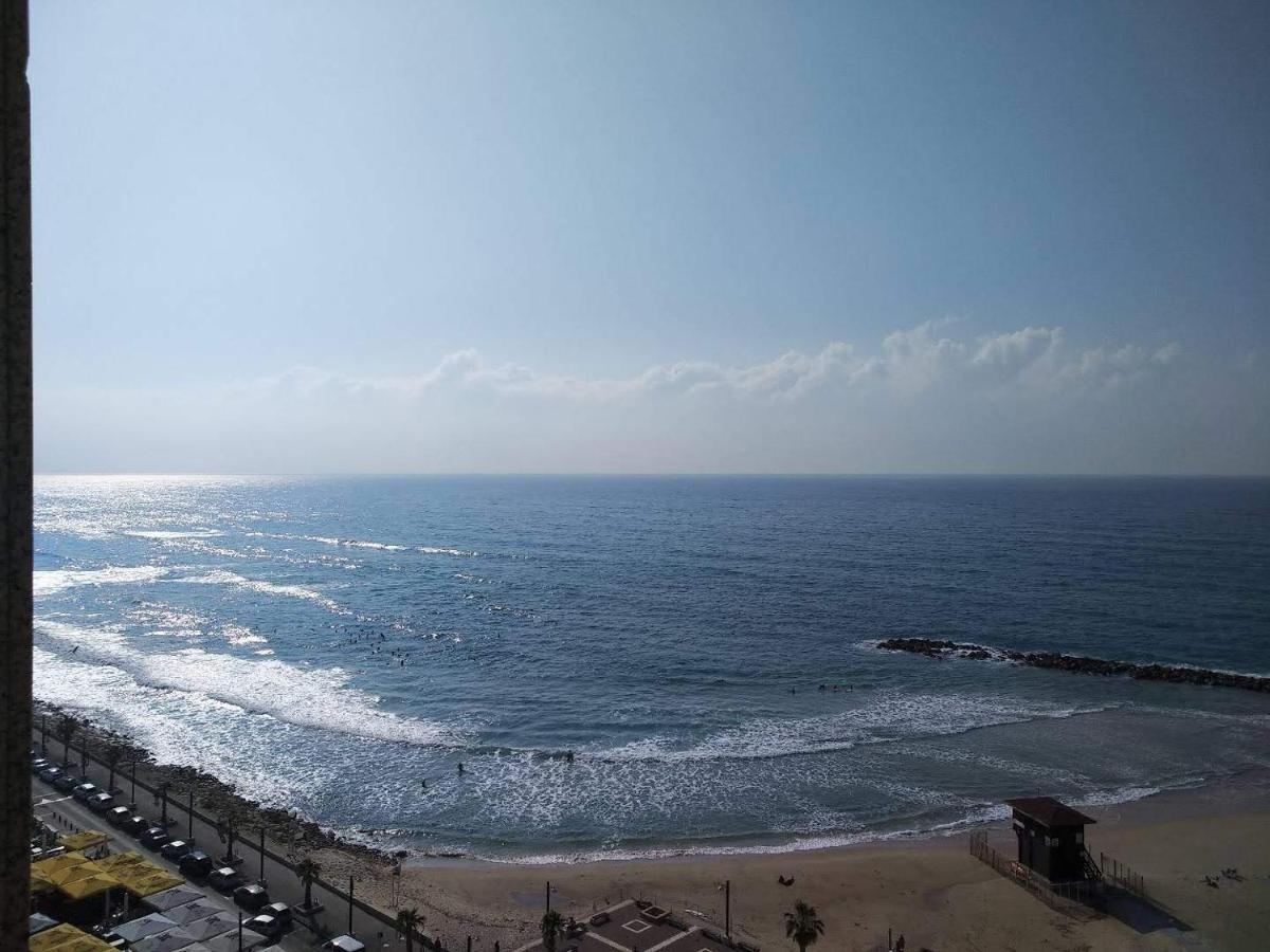 Almogim- Almog Building Haifa Værelse billede
